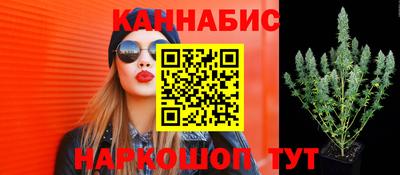 spice Новокубанск