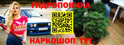 марки nbome Новозыбков