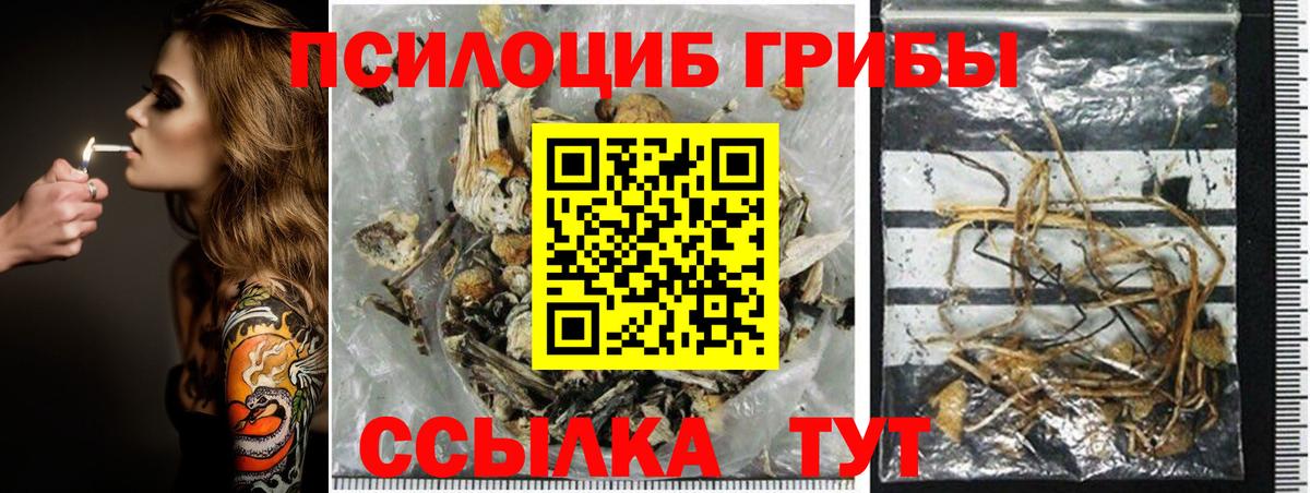 хочу   Псилоцибиновые грибы прущие грибы  Вход с VPN  Старая Купавна 
