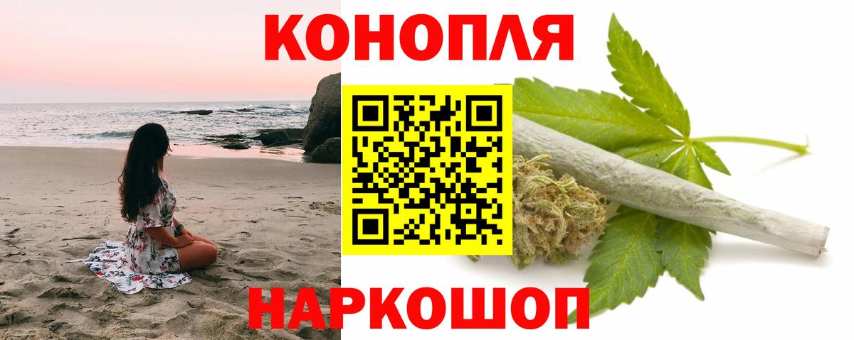 Бошки Шишки планчик Старая Купавна